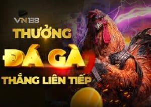 Kinh nghiệm khi tham gia Đá gà VN138